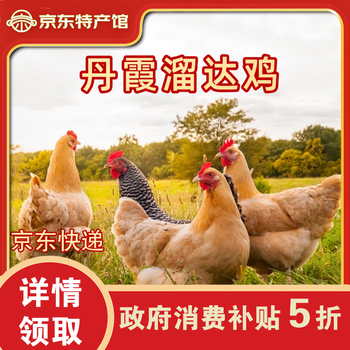 陇旭丰 LXF 甘肃临泽本地溜达鸡 1只/袋(1.72-2.25kg)赠配料包