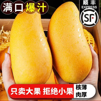 捌零鲜生物语（顺丰直达）正宗金煌芒果新鲜水果 年货节大个芒果水果礼盒 9斤精品特大果（顺丰快递）