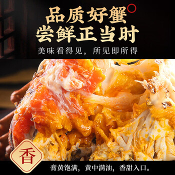 活蟹现货特大全母蟹大闸蟹螃蟹鲜活 河蟹礼盒装【图片 价格 品牌 报价