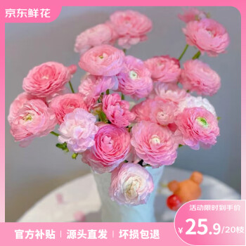 2025年3月9日更新【万能白菜价】的图片 第19张