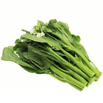 农家新鲜蔬菜芥蓝500g 小芥蓝中花芥兰格蓝菜佛光菜 图片价格品牌报价 京东 农家新鲜蔬菜芥蓝500g 小芥蓝中花芥兰格蓝菜佛光菜 图片价格品牌报价 京东