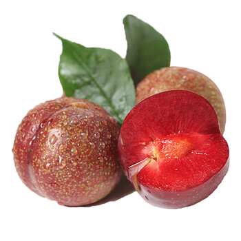 三华李芙蓉李当季水果桃形李子脱骨红心李子红奈李5斤