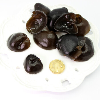 上新 野生黑云耳 东北特产特级小中云耳长白山野生云耳无根 500g