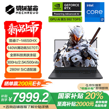 机械革命极光X Pro(酷睿i7-14650HX RTX5070Ti 32GB 1TB)