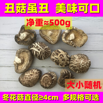 花菇哥特产大花菇丑香菇4-12cm奇形随州冬菇小干货商用家用农家 丑冬花菇500g-直径4~13cm随机发
