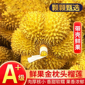 芫曦榴莲金枕新鲜果整箱一整个带壳泰国进口巴掌金枕头榴莲批发一箱 【品质级】30年精选树果 【家庭装】8-10斤(2-4个装)