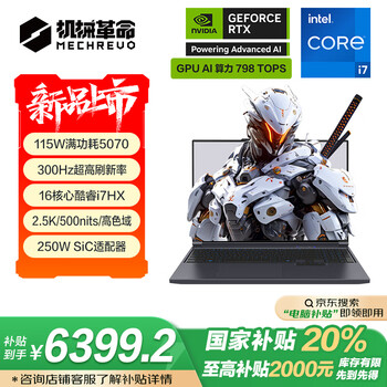 机械革命极光X(酷睿i7-13700HX RTX5070 16GB 1TB)