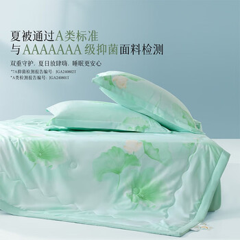 百丽丝水星集团旗下100%蚕丝夏被 抑菌夏凉被子空调被芯 100%有机蚕丝可水洗【A类】 200cm×230cm
