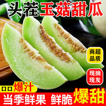 山东玉菇甜瓜软糯香甜新鲜现摘现发【多地*次日达】应季孕妇水果 净重4.5-5斤 单果400g起