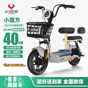 小羚羊电动自行车小魔方铅酸电池48V12AH续航40km免费送装上门源彩灰
