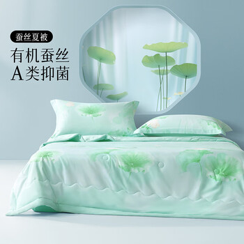 百丽丝水星集团旗下A类有机蚕丝夏被 7A夏凉被子空调被芯可水洗 有机蚕丝可水洗【A类/浅绿】 150cm×200cm