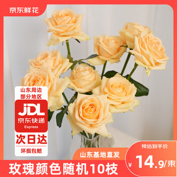 京东鲜花玫瑰花鲜花随机颜色品种10枝山东基地送女朋友情人节源头直发