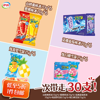 伊利冰工厂冰爽一夏30支套装
