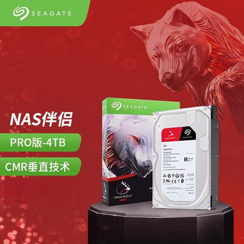 希捷ST16000NT001 新款酷狼16tb pro机械硬盘16t NAS ST10000NT001网络存储机械硬盘4T ST4000NT00 NAS 4TB ST4000NT001酷狼