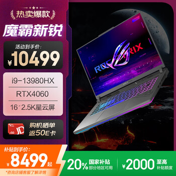ROG魔霸新锐 2024(酷睿i9-13980HX RTX4060 16GB 1TB)