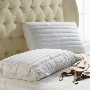 荞麦枕头成人决明子枕头枕芯单人荞麦皮薰衣草硬枕硬枕头一对拍2