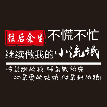 往后余生不慌不忙继续做我的小流氓车贴个性创意网红做一个定制反光车