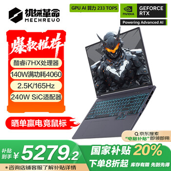 机械革命极光X(i7-13700HX RTX4060 16G 1T)