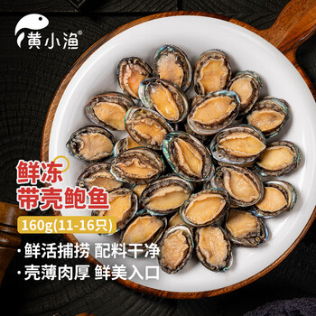 黄小渔冷冻带壳鲍鱼净重160g(11-16粒)袋装火锅烧烤食材贝类海鲜端午
