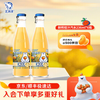 北冰洋老北京玻璃瓶果汁碳酸饮料 鲜榨20%果汁含量桔汁汽水 236ml*6瓶
