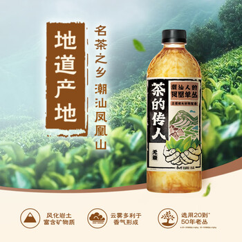 康师傅 茶的传人 潮汕人的凤凰单丛茶(鸭屎香)500ml*15瓶