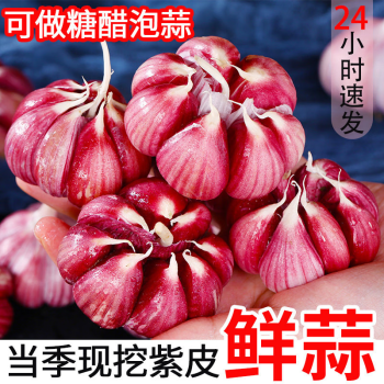 2025年4月19日更新【万能白菜价】的图片 第16张