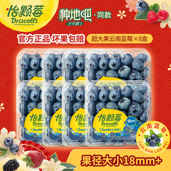 怡颗莓【酸甜适中】当季云南蓝莓 国产 新鲜蓝莓 生鲜水果 送礼 蓝莓超大果125g*8盒(18mm+)
