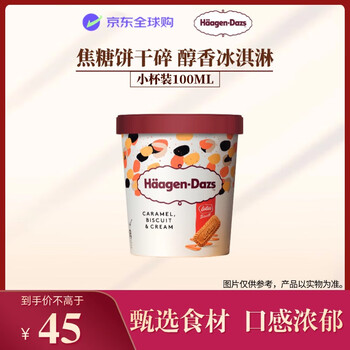 哈根达斯 Häagen·Dazs 焦糖饼干奶油冰淇淋 100ml/杯 小杯装