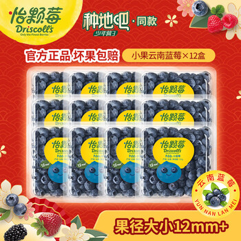 怡颗莓【果肉细腻】当季云南蓝莓 国产 新鲜蓝莓 生鲜水果送礼 蓝莓小果125g*12盒