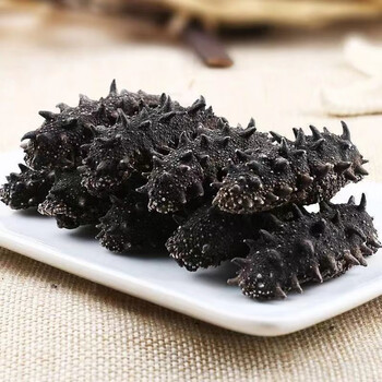 海参干货淡干海参大连净重251克起家庭普通水晶盒装全新升级9年辽参