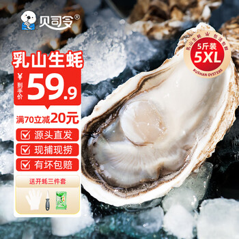 贝司令(BEISILING)【源头直发】鲜活乳山生蚝牡蛎贝类聚会烧烤5XL净重5斤 8+只装