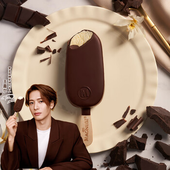 梦龙 MAGNUM 冰淇淋 香草口味 256g