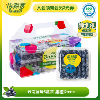 怡颗莓Driscoll's当季云南蓝莓12mm+ 6盒装 125g/盒 生鲜水果