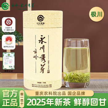 云岭茶业 YUNLING TEA 永川秀芽 50