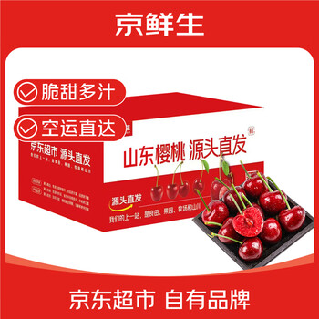京鲜生 山东樱桃/车厘子 J级/8g+ 净重2.8斤 生鲜水果 源头直发