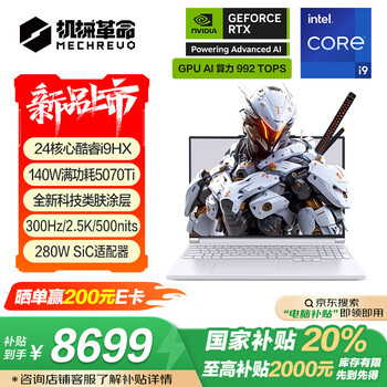 机械革命极光X Pro(酷睿i9-14900HX RTX5070Ti 32GB 1TB)