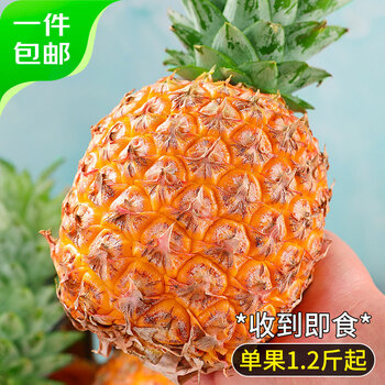 京鲜生 海南芒果凤梨净重2.8斤单果650g起树上熟菠萝源头直发包邮