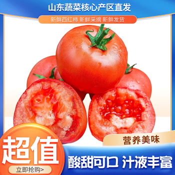 鲁韵忆乡山东普罗旺斯西红柿沙瓤可生吃番茄蔬菜产地直发酸甜可口柿子带箱 西红柿净重 4.5斤