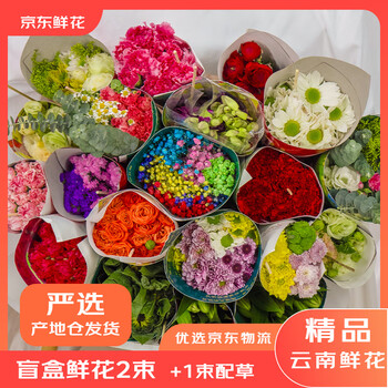京东鲜花 盲盒家庭插花玫瑰百合向日葵云南鲜花盲盒3束源头直发
