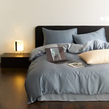 AIDLI60支兰精天丝四件套 A类莱赛尔凉感丝滑轻奢床上套件 灰蓝色-冰川灰 四件套 床单款 （被套200*230cm）
