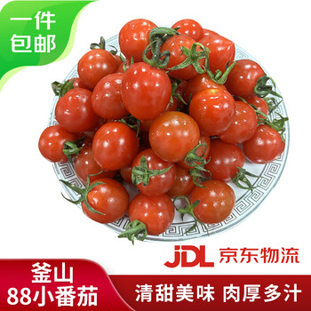 京鲜生 山东 釜山88小番茄 净重1.6斤 单果重量 8g+ 端午源头直发