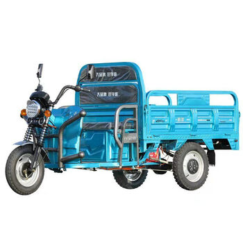 田洋电瓶成人代步货车载重王快递电瓶车家用拉货农用电动三轮车 1.