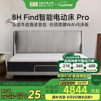 8H 全自动电动床架带床垫DE MAX灰色1.5m+MZ 灰色 不带床头