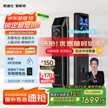 国家补贴、PLUS会员：凯迪仕 3D人脸识别大屏智能锁 P30 Pro Max