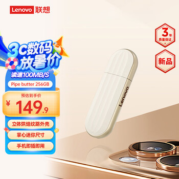 联想（Lenovo）256GB Cookies闪存盘 Pipe butterUSB3.2 U盘学习办公电脑车载 小巧便携 高速大容量优盘