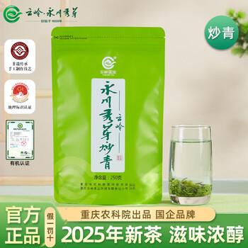 云岭 永川秀芽 炒青秀雅 250g袋装口粮茶