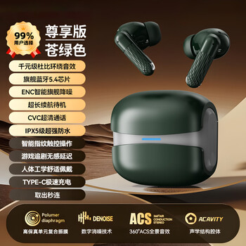 萨勒芬妮 蓝牙耳机  破价！通话降噪 超长续航 赛博朋克风