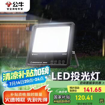 公牛(BULL)LED投光灯庭院灯工地灯园林照明露营灯 IP65防水100W-6500K白光