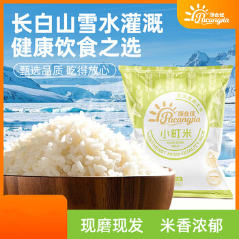 蒲仓佳 东北大米秋田 小町香米500g