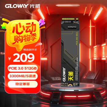 光威(Gloway)512GB SSD固态硬盘 M.2接口(NVMe协议) PCIe 3.0x4 天策系列